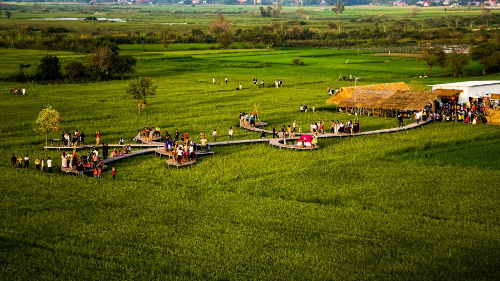 a group of people standing on top of a lush green field