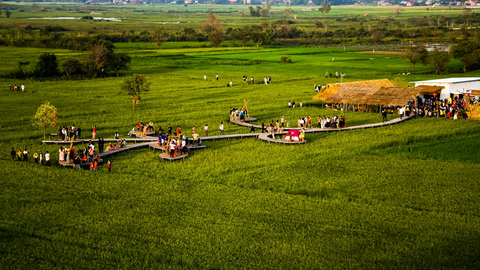a group of people standing on top of a lush green field